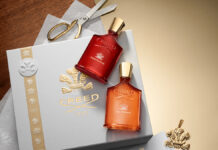 Delphinus & Centaurus – Món quà Giáng Sinh tỏa sáng giữa mùa lễ hội