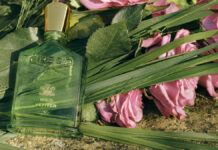 WILD VETIVER – HÀNH TRÌNH KHÁM PHÁ CỎ HƯƠNG BÀI DƯỚI GÓC NHÌN CỦA CREED